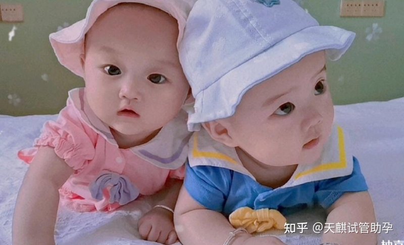 石家庄供卵试管婴儿：一次复杂的旅程