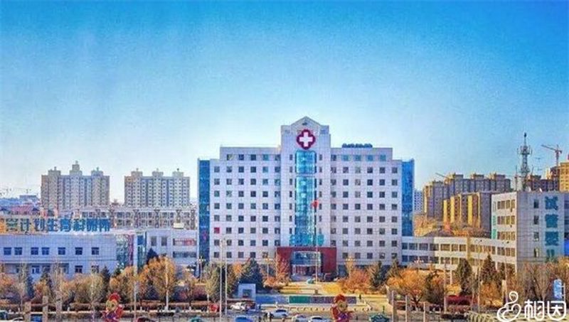 选择供卵试管机构，如同为寻找生命之树而踏上寻宝之旅。