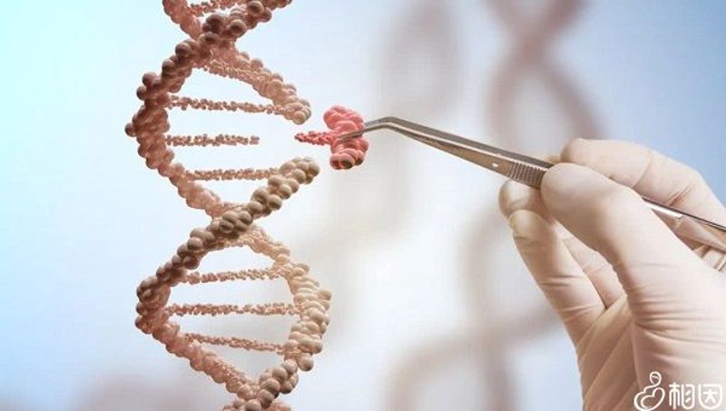 石家庄供卵试管：如何选择合适的辅助生育方案？